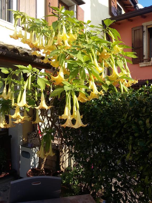 La Carbonara 6 Bed & Breakfast Bardolino Eksteriør bilde